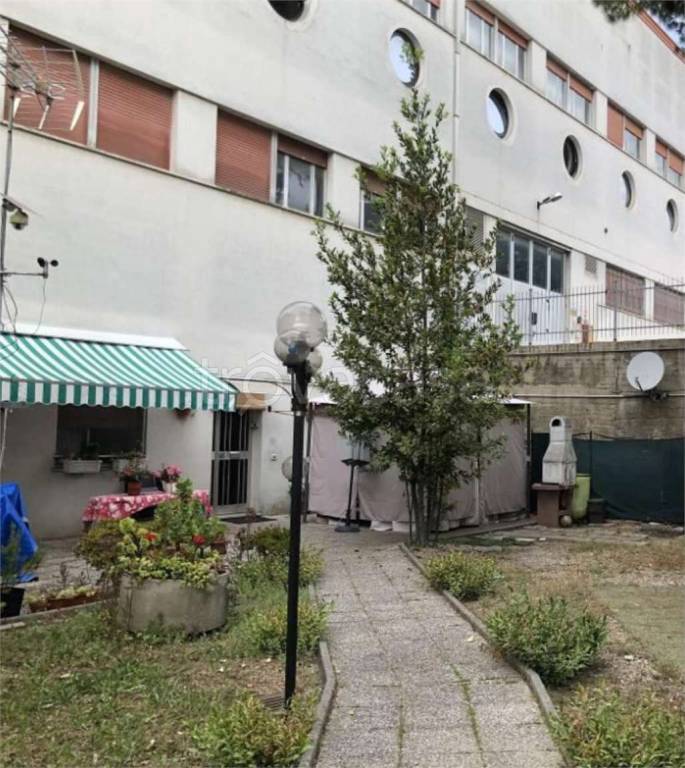 immagine annuncio 8 di 14