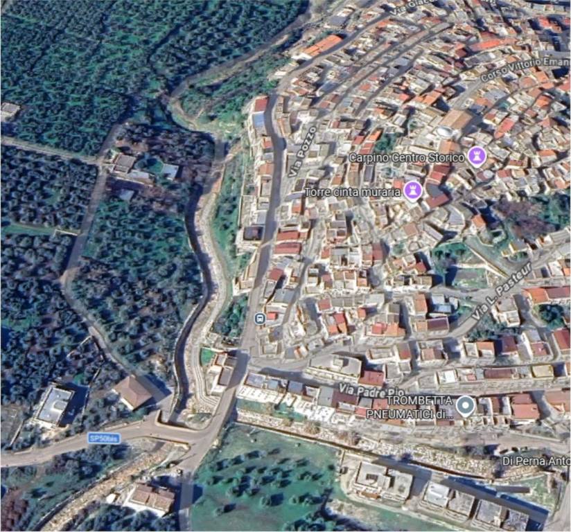 immagine annuncio 4 di 11