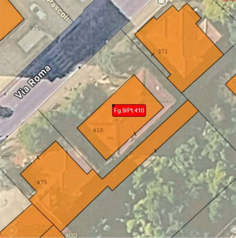 immagine annuncio 6 di 12