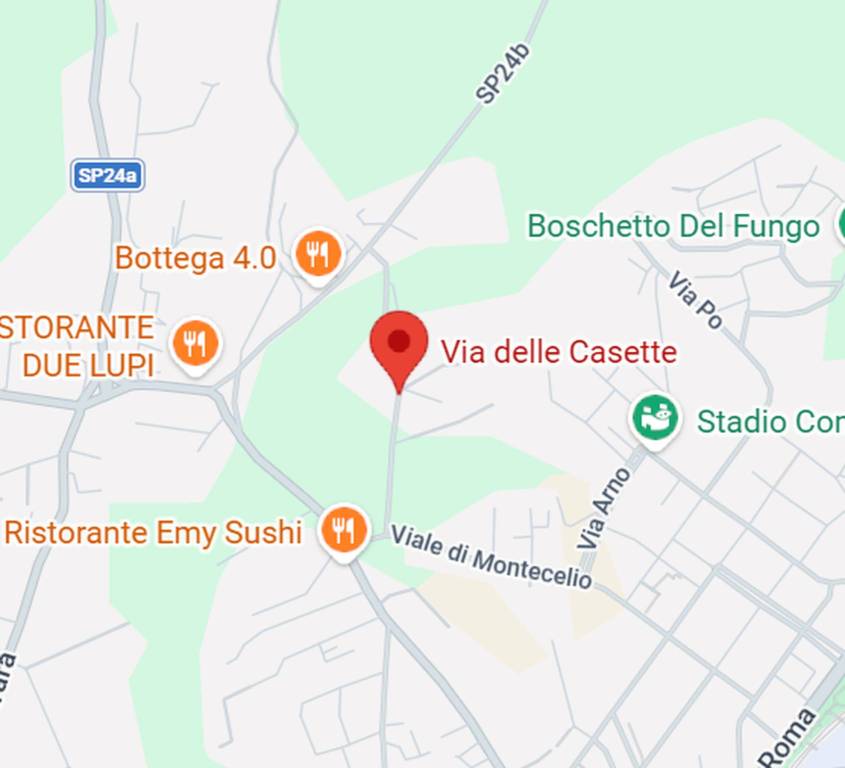 immagine annuncio 3 di 12