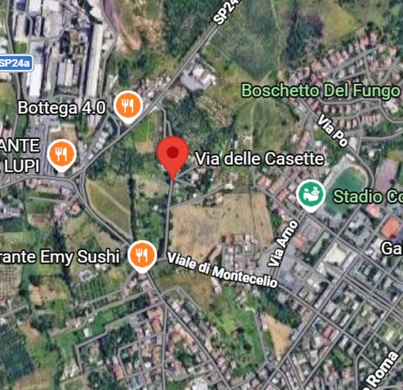 immagine annuncio 4 di 12