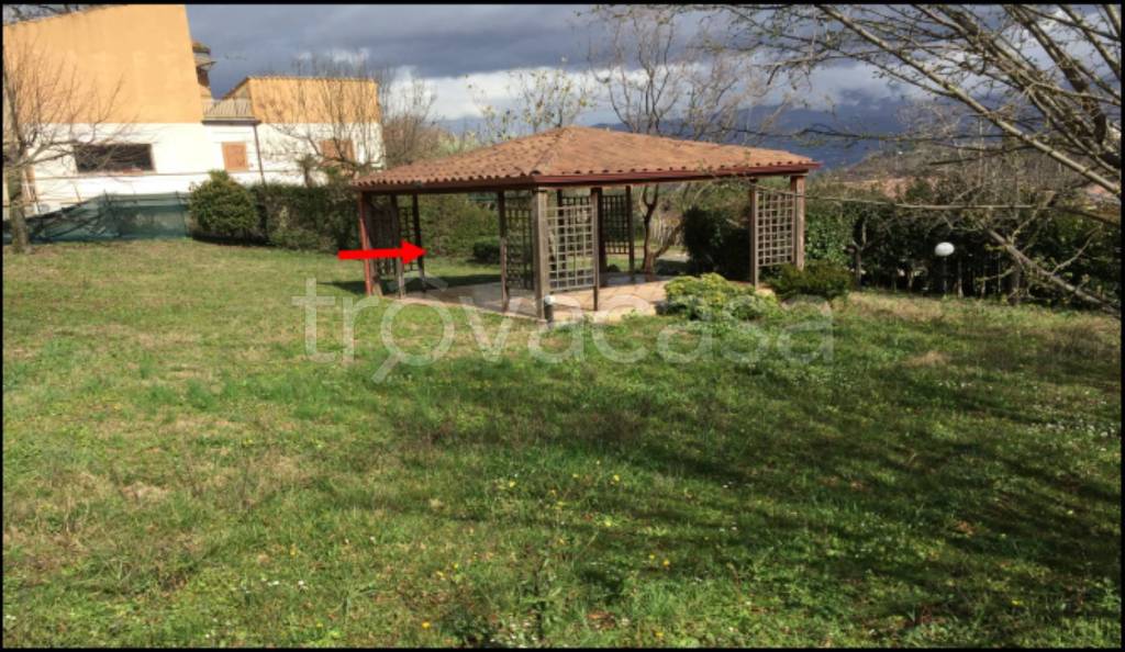 immagine annuncio 4 di 11