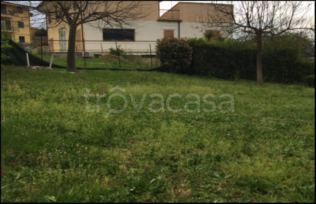 immagine annuncio 5 di 11