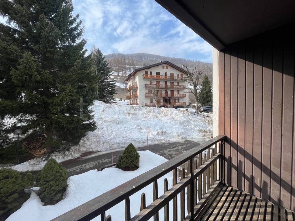 immagine annuncio 12 di 15