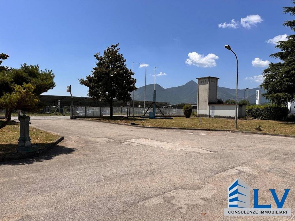 immagine annuncio 5 di 7