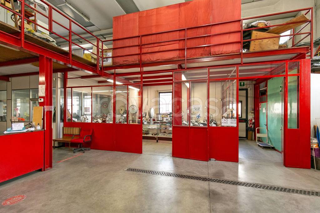 immagine annuncio 3 di 15