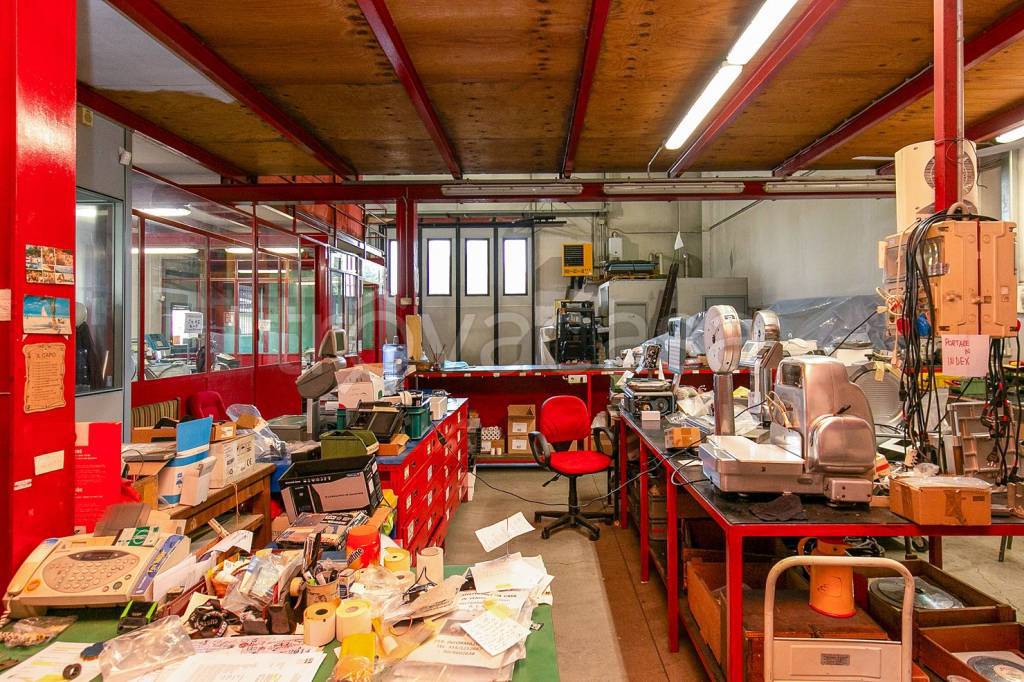 immagine annuncio 10 di 15