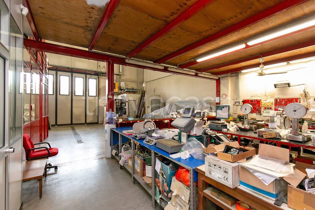 immagine annuncio 11 di 15