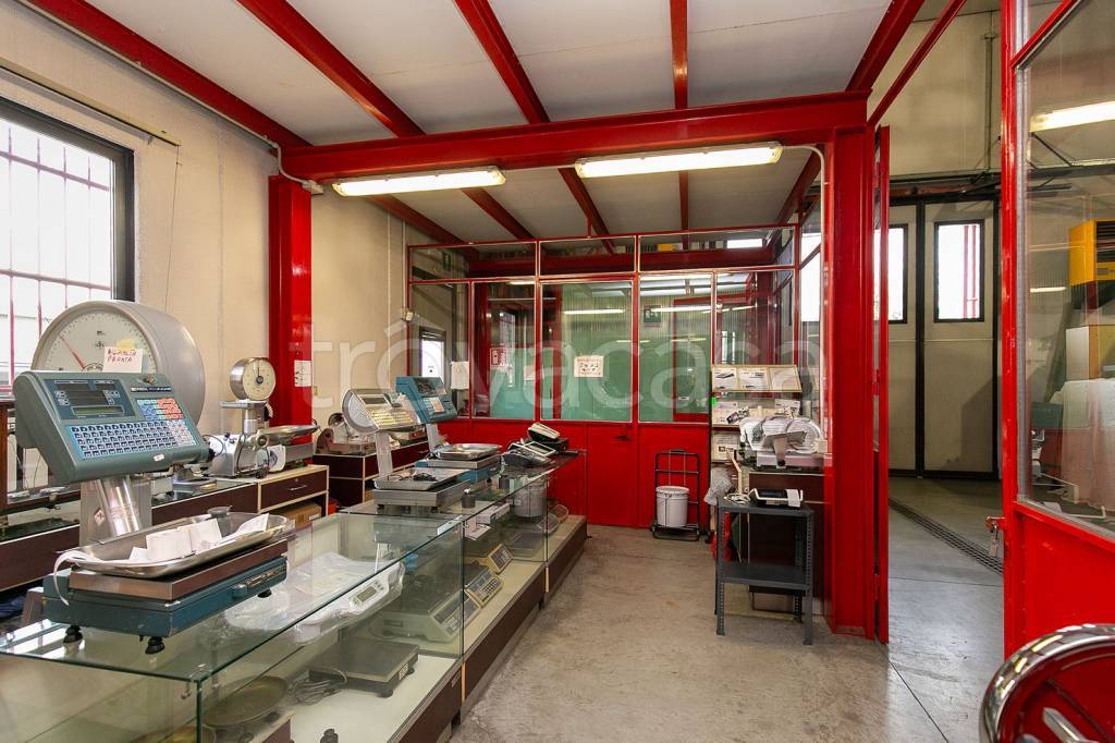 immagine annuncio 4 di 15