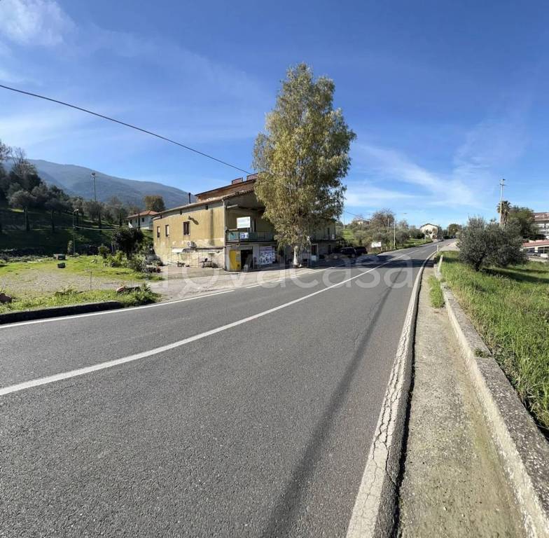 immagine annuncio 2 di 6