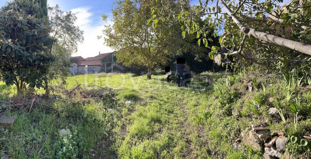 immagine annuncio 5 di 7