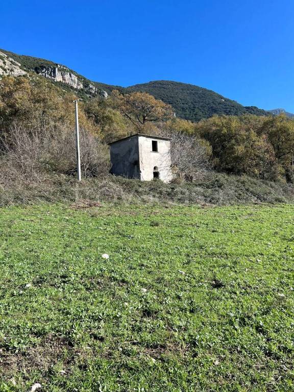 immagine annuncio 7 di 8