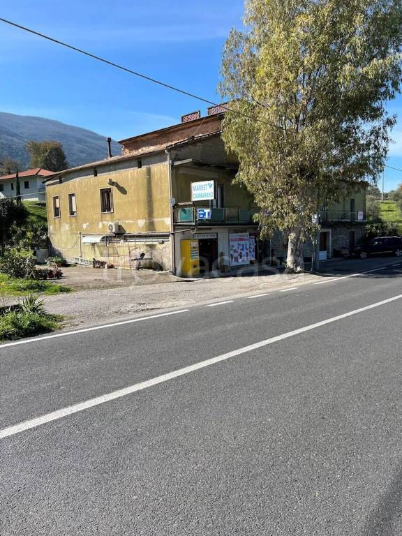 immagine annuncio 3 di 6