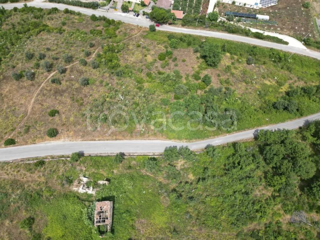 immagine annuncio 10 di 13