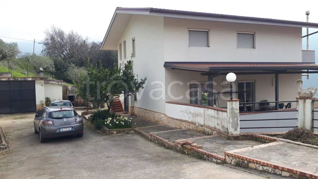 immagine annuncio 4 di 11