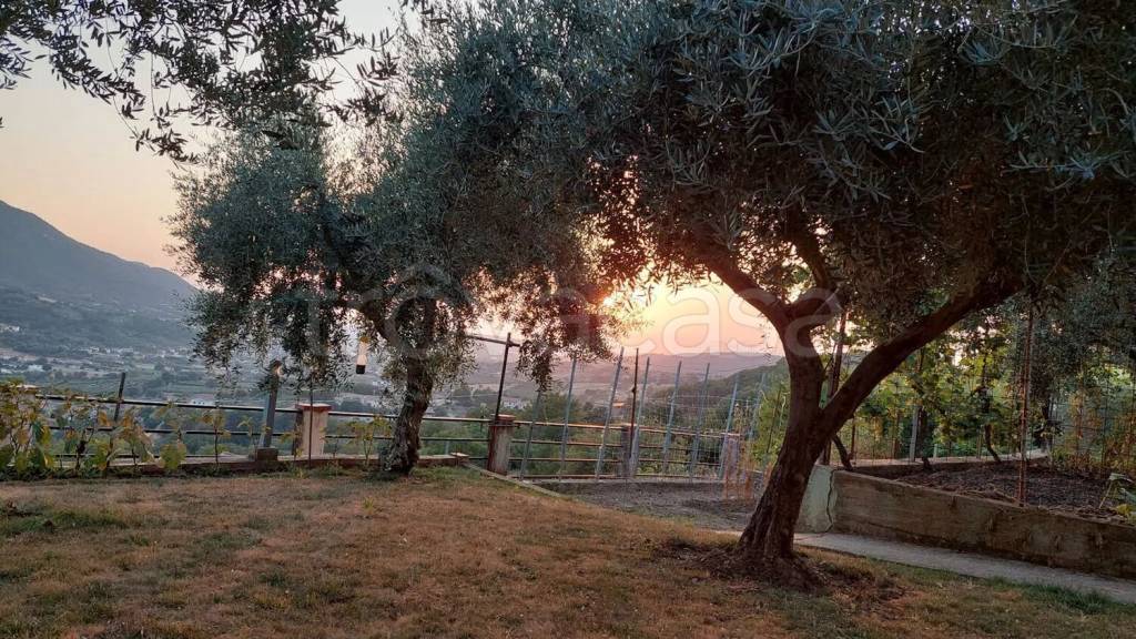immagine annuncio 7 di 11
