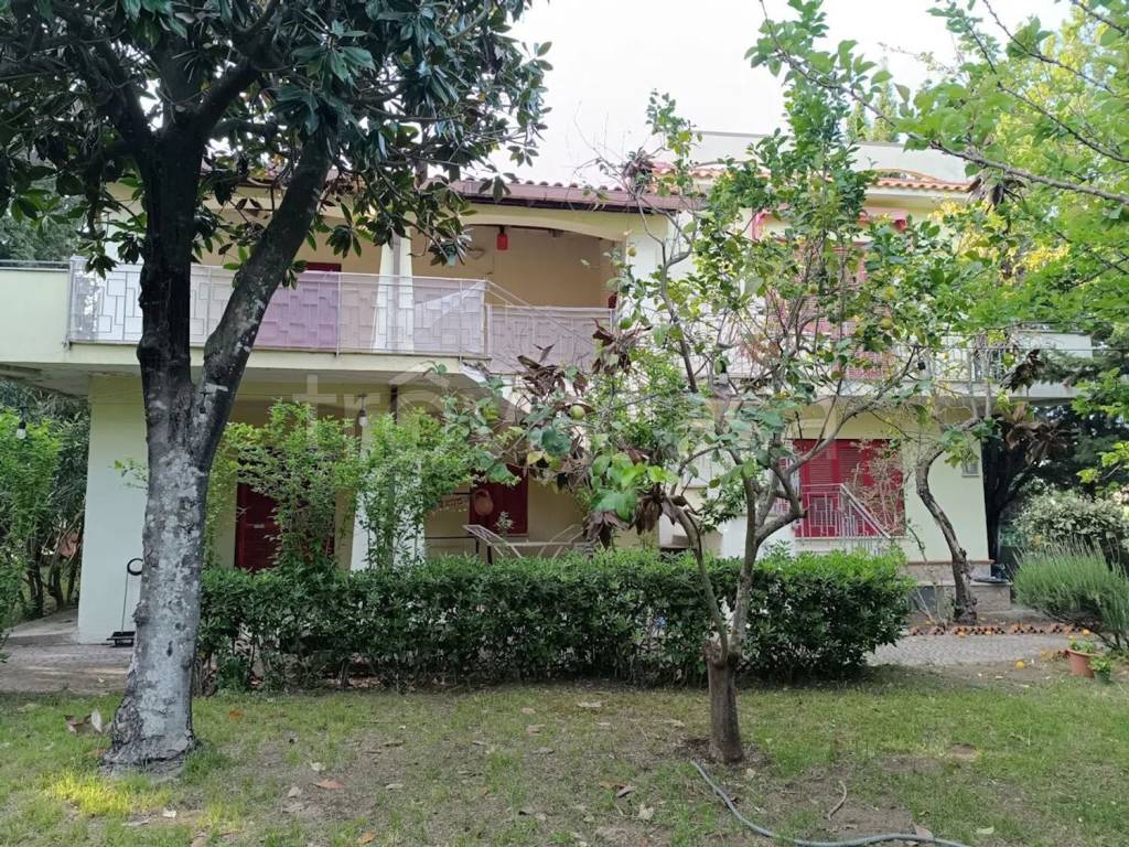 immagine annuncio 1 di 14