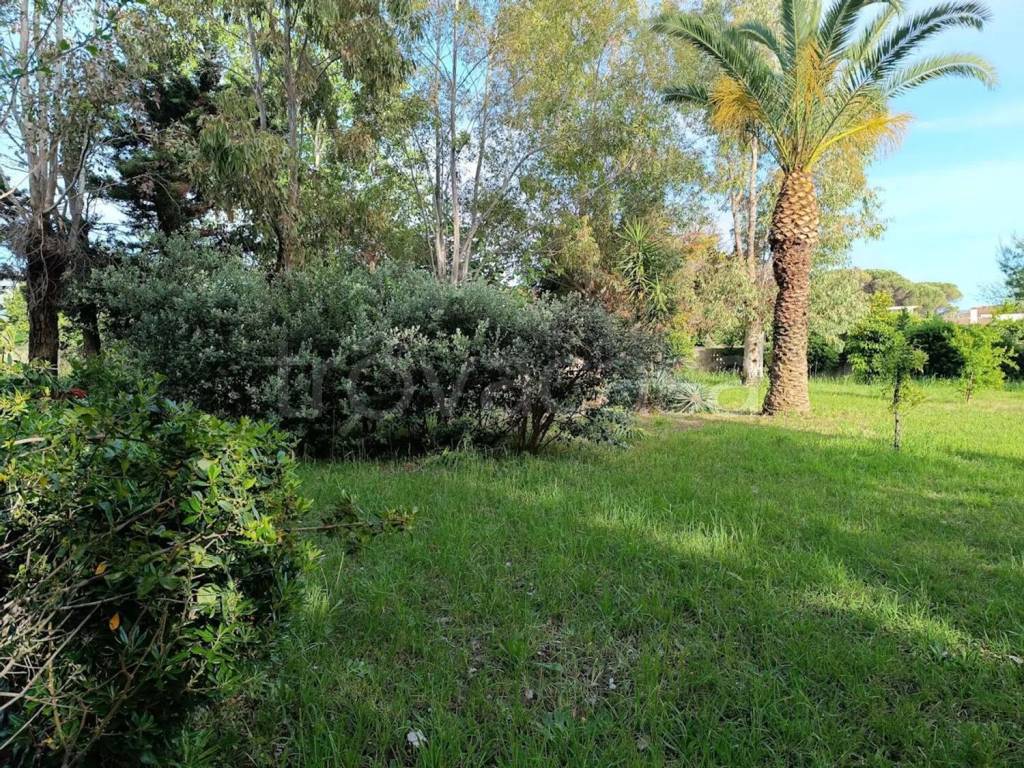 immagine annuncio 4 di 14