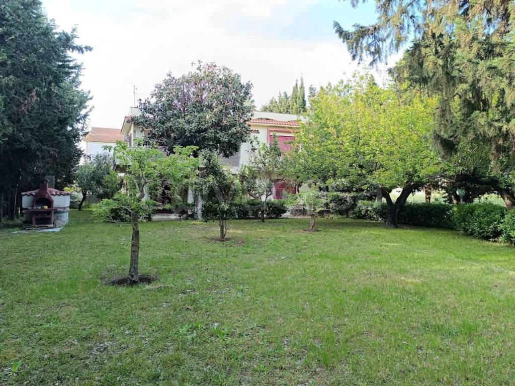 immagine annuncio 7 di 14