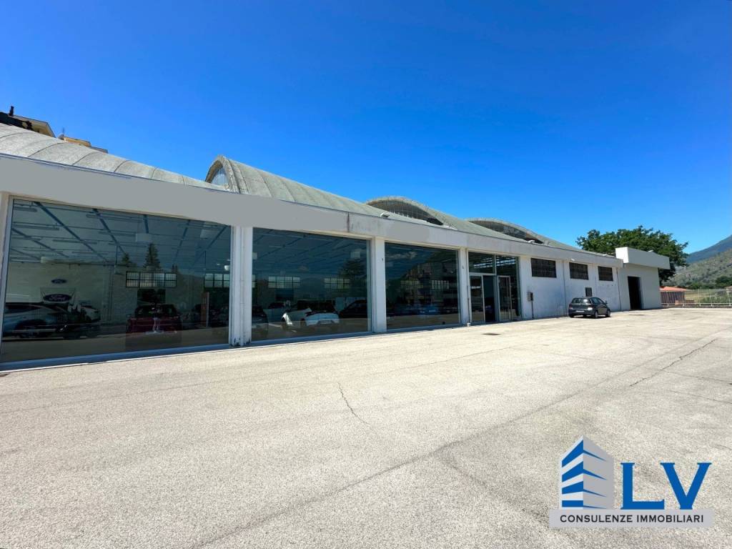 immagine annuncio 2 di 12