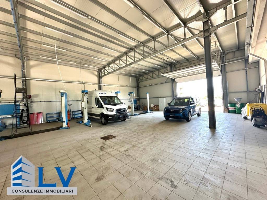 immagine annuncio 7 di 12