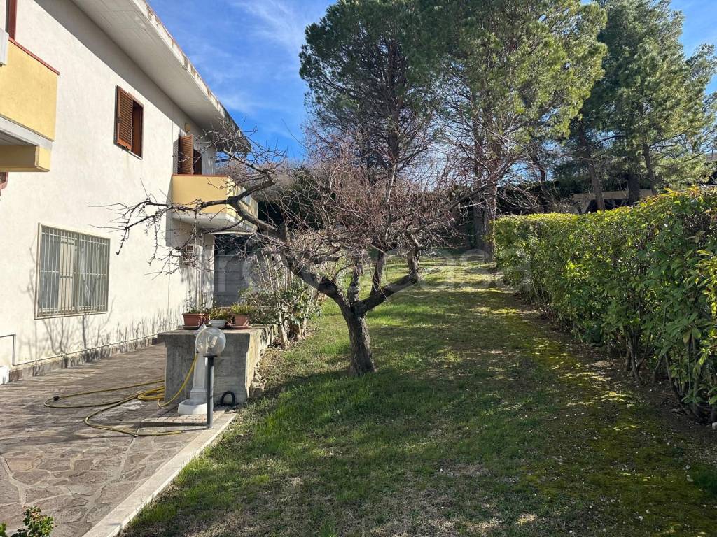 immagine annuncio 10 di 15