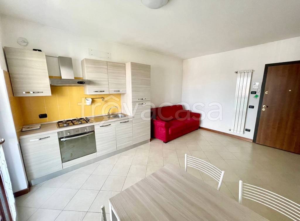 immagine annuncio 8 di 15