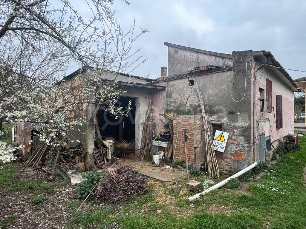 immagine annuncio 2 di 4