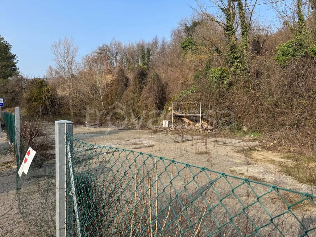 immagine annuncio 9 di 12