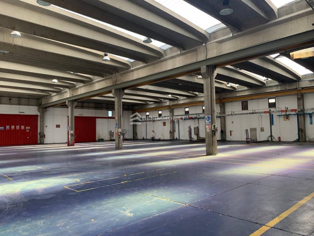 immagine annuncio 3 di 13