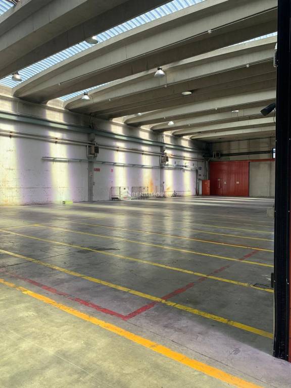 immagine annuncio 4 di 13