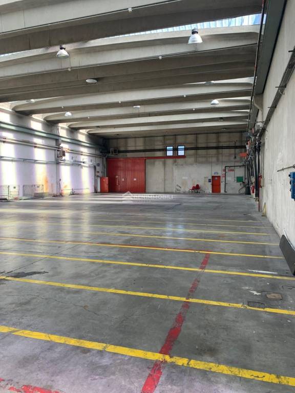 immagine annuncio 5 di 13