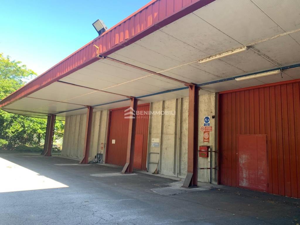 immagine annuncio 7 di 13