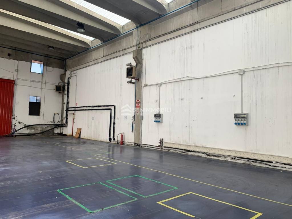 immagine annuncio 9 di 13