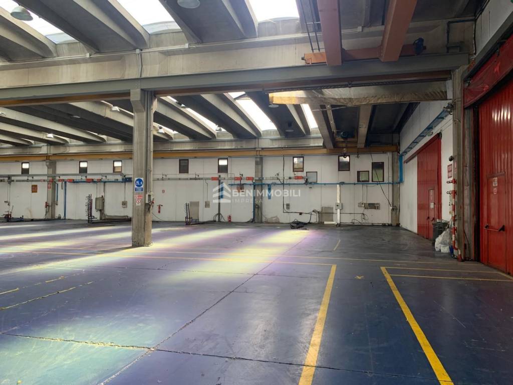 immagine annuncio 10 di 13