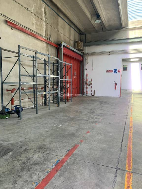 immagine annuncio 11 di 13