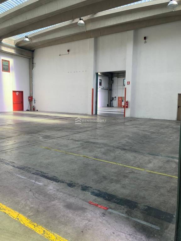 immagine annuncio 12 di 13