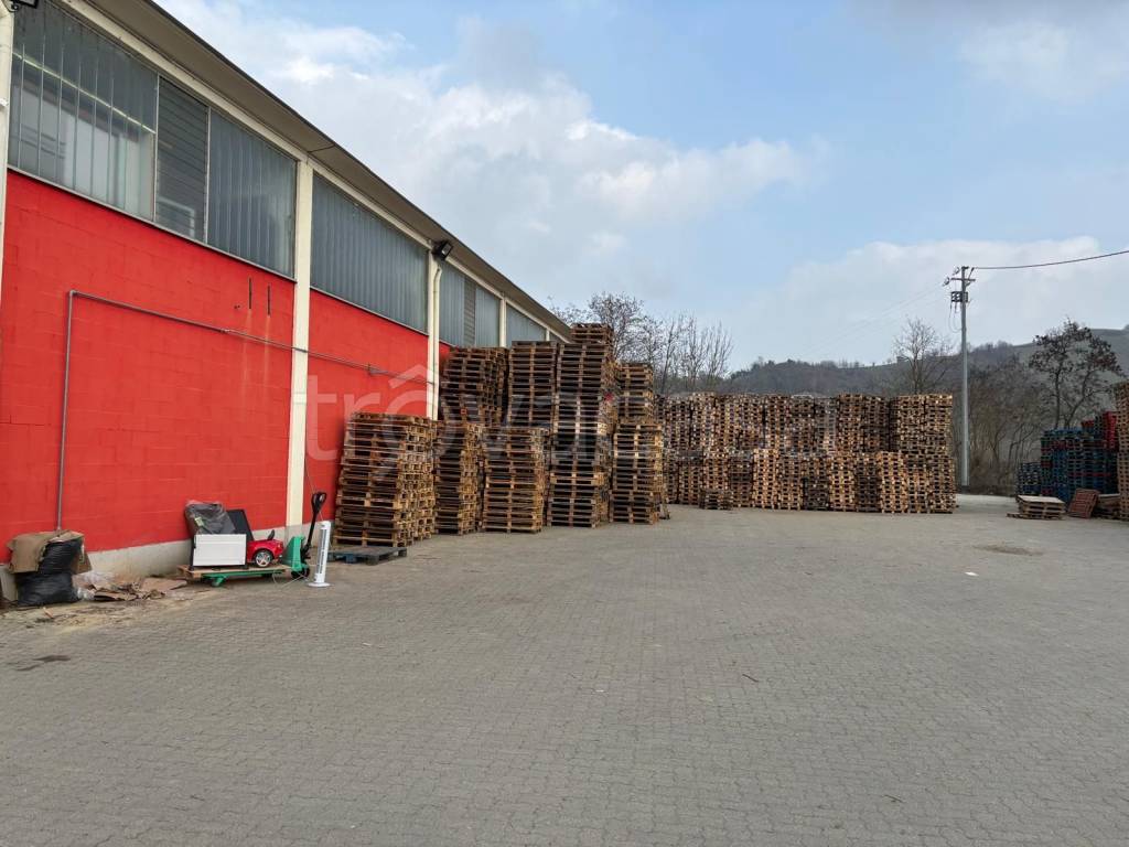 immagine annuncio 1 di 13