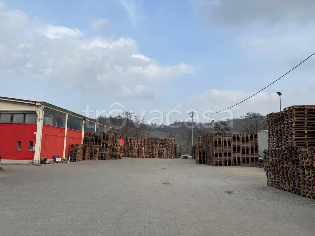 immagine annuncio 11 di 13