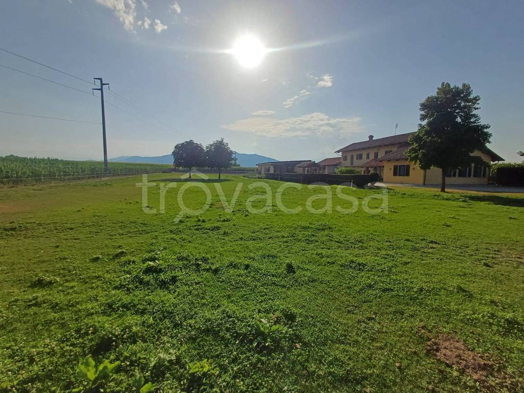 immagine annuncio 12 di 15