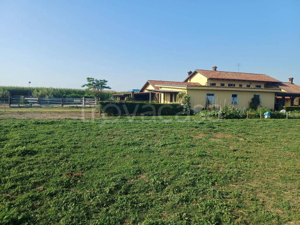 immagine annuncio 10 di 15