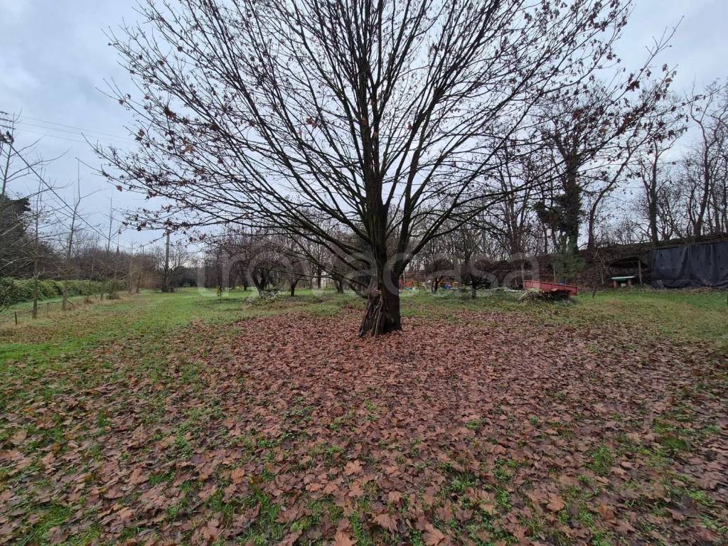 immagine annuncio 1 di 4