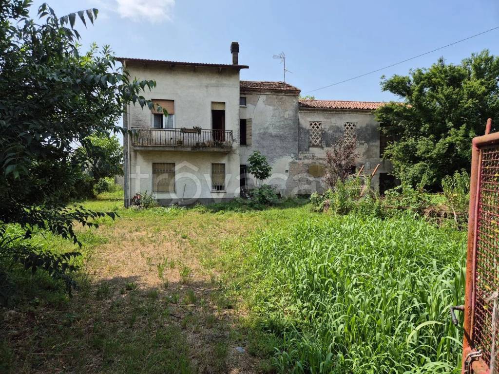 immagine annuncio 1 di 6