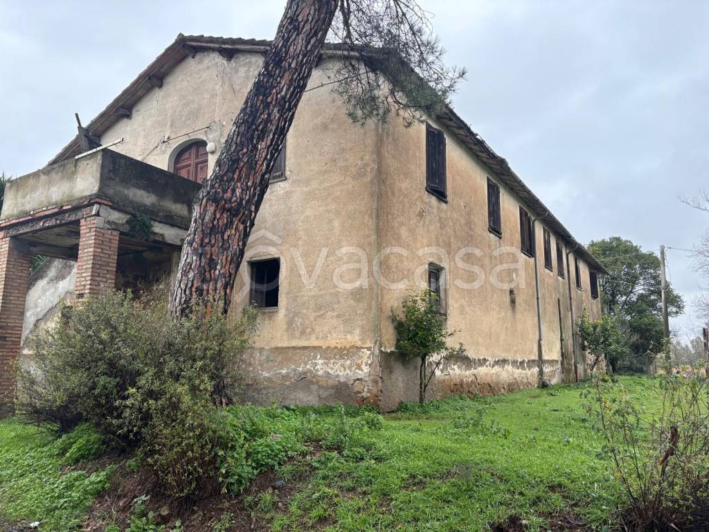 immagine annuncio 4 di 9
