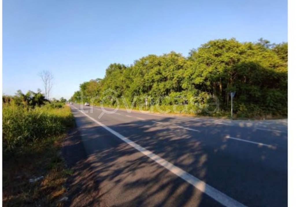 immagine annuncio 3 di 13