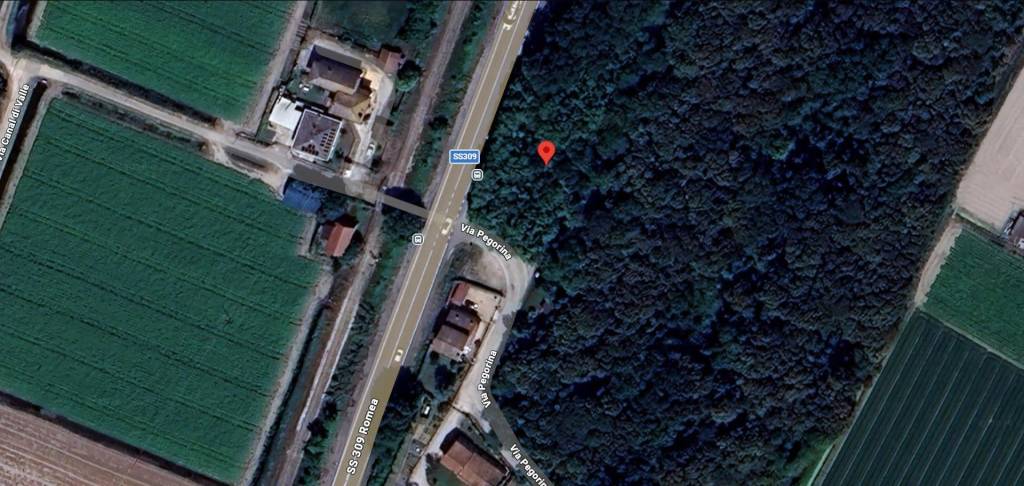 immagine annuncio 11 di 13