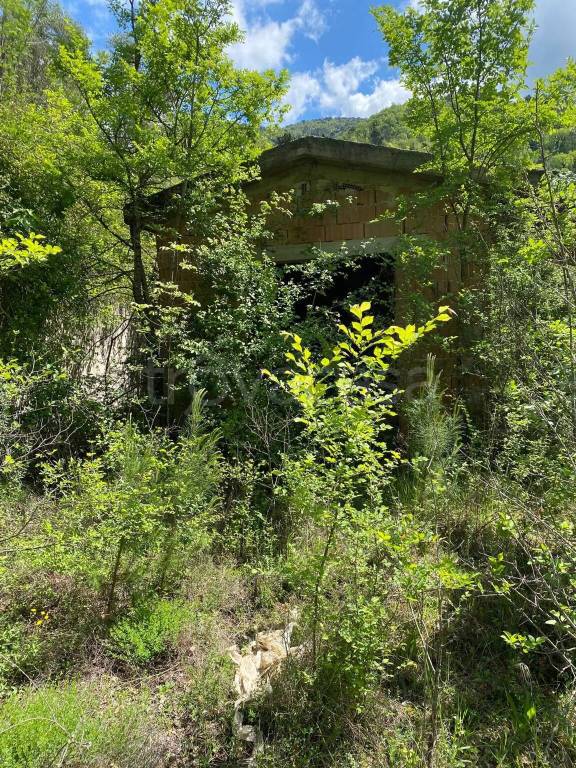 immagine annuncio 3 di 11