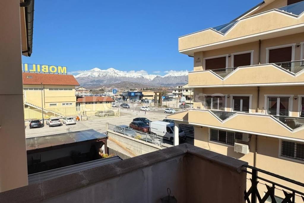 immagine annuncio 8 di 12