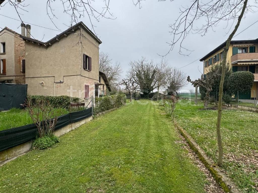 immagine annuncio 3 di 13