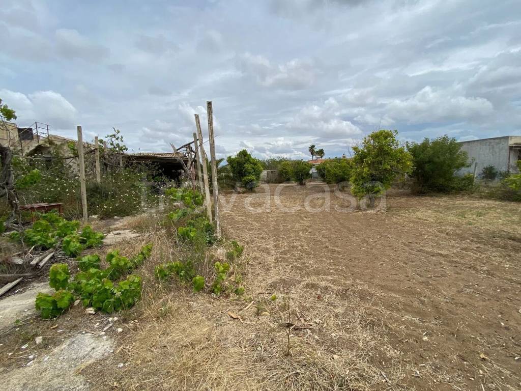 immagine annuncio 4 di 8